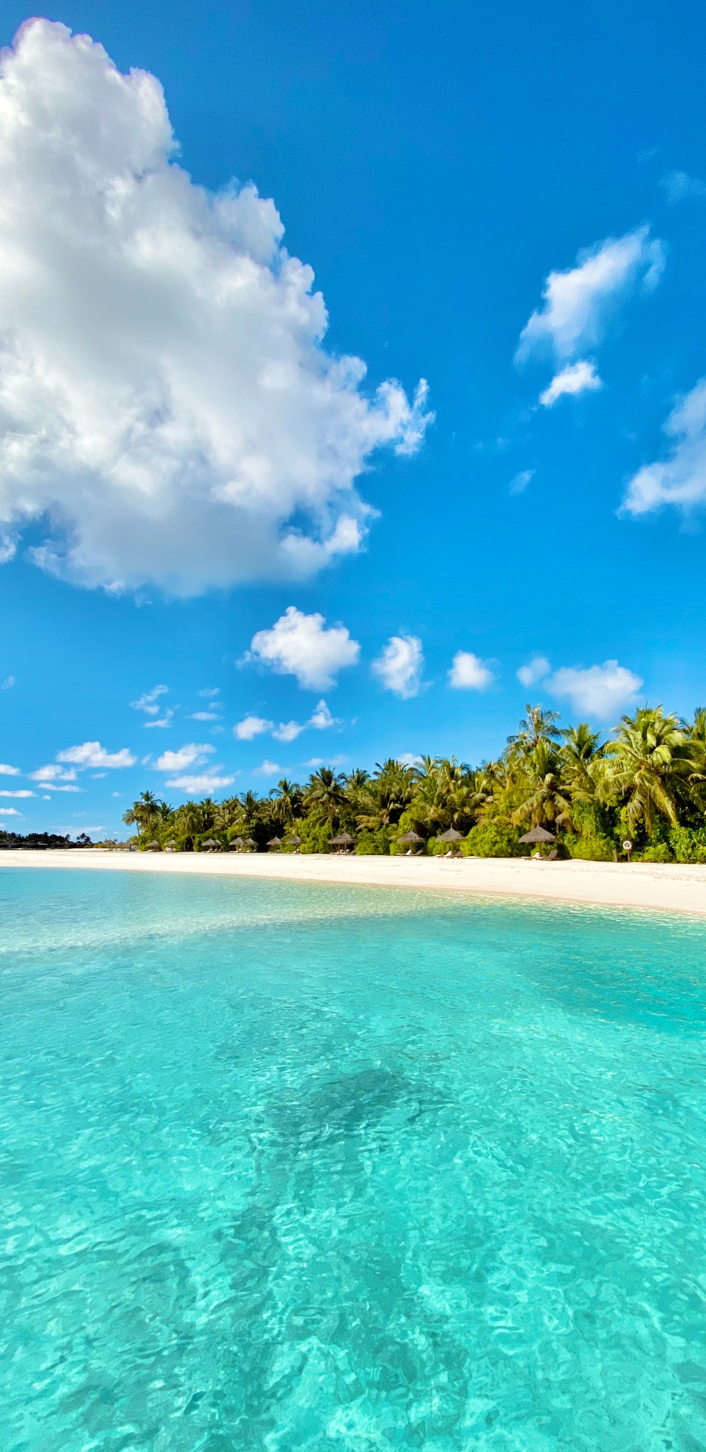 Body of Water, Blue, Nature, Sea, Tropics. Wallpaper in 1440x2960 Resolution