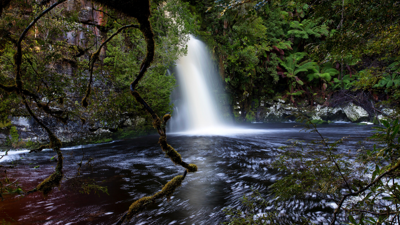 el Agua Cae en Medio Del Bosque. Wallpaper in 1366x768 Resolution