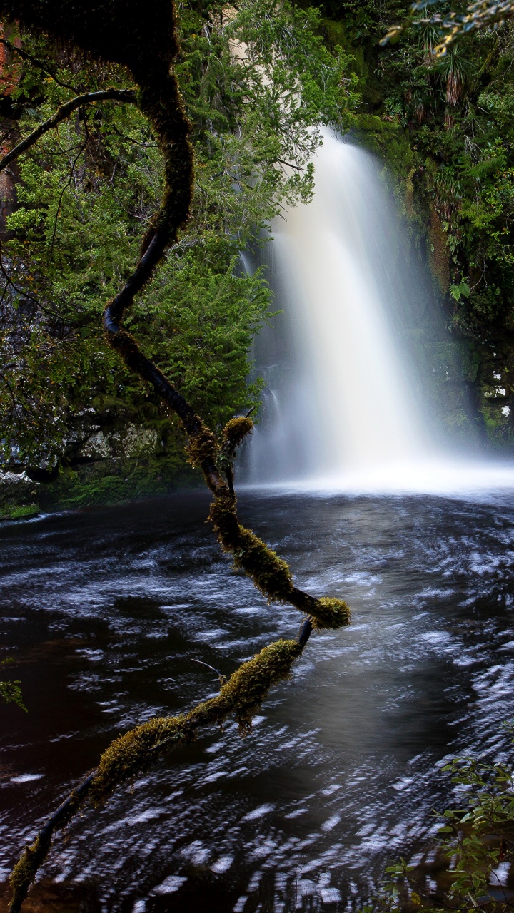 Water Falls in The Middle of The Forest. Wallpaper in 720x1280 Resolution