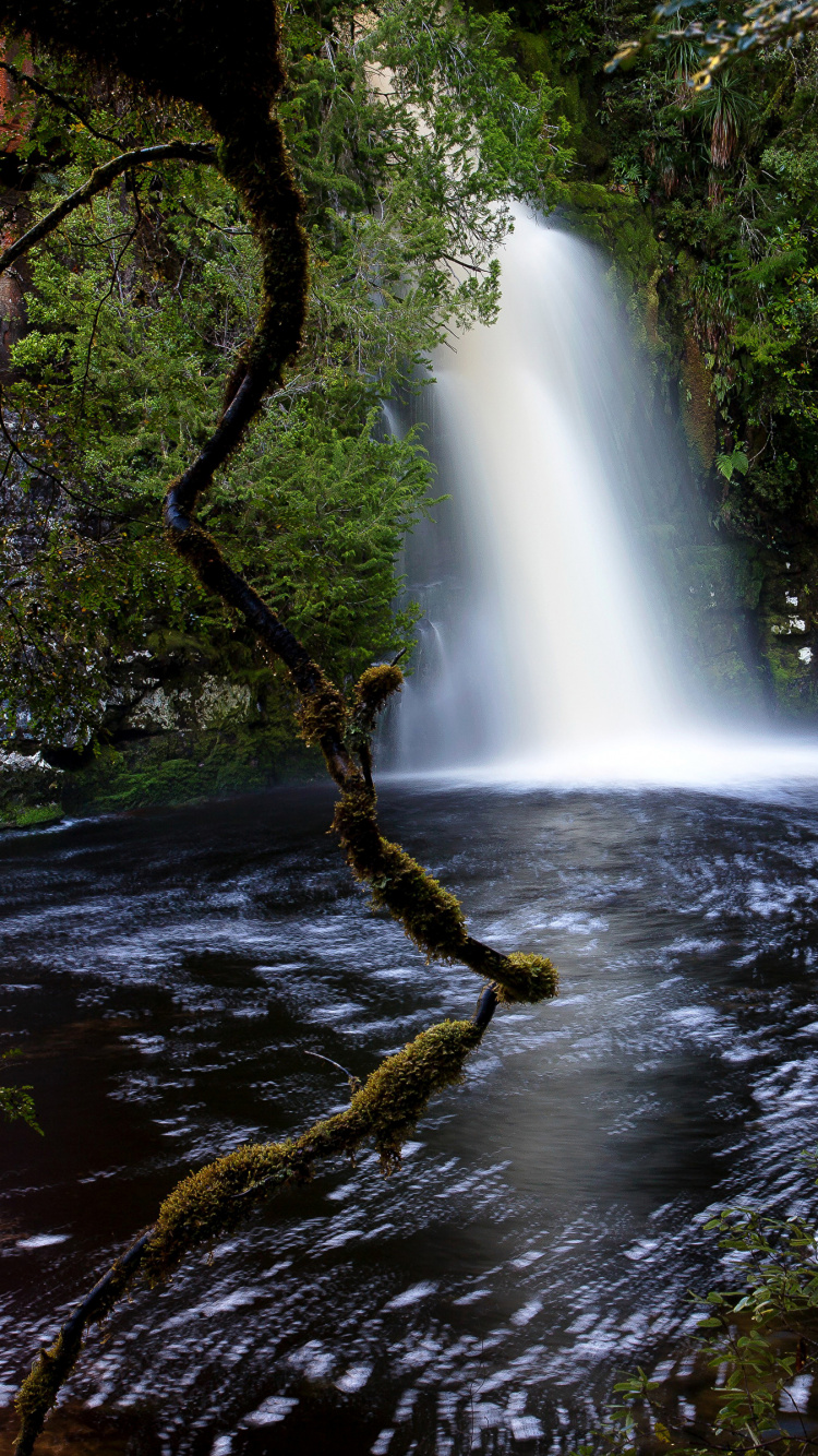 Water Falls in The Middle of The Forest. Wallpaper in 750x1334 Resolution