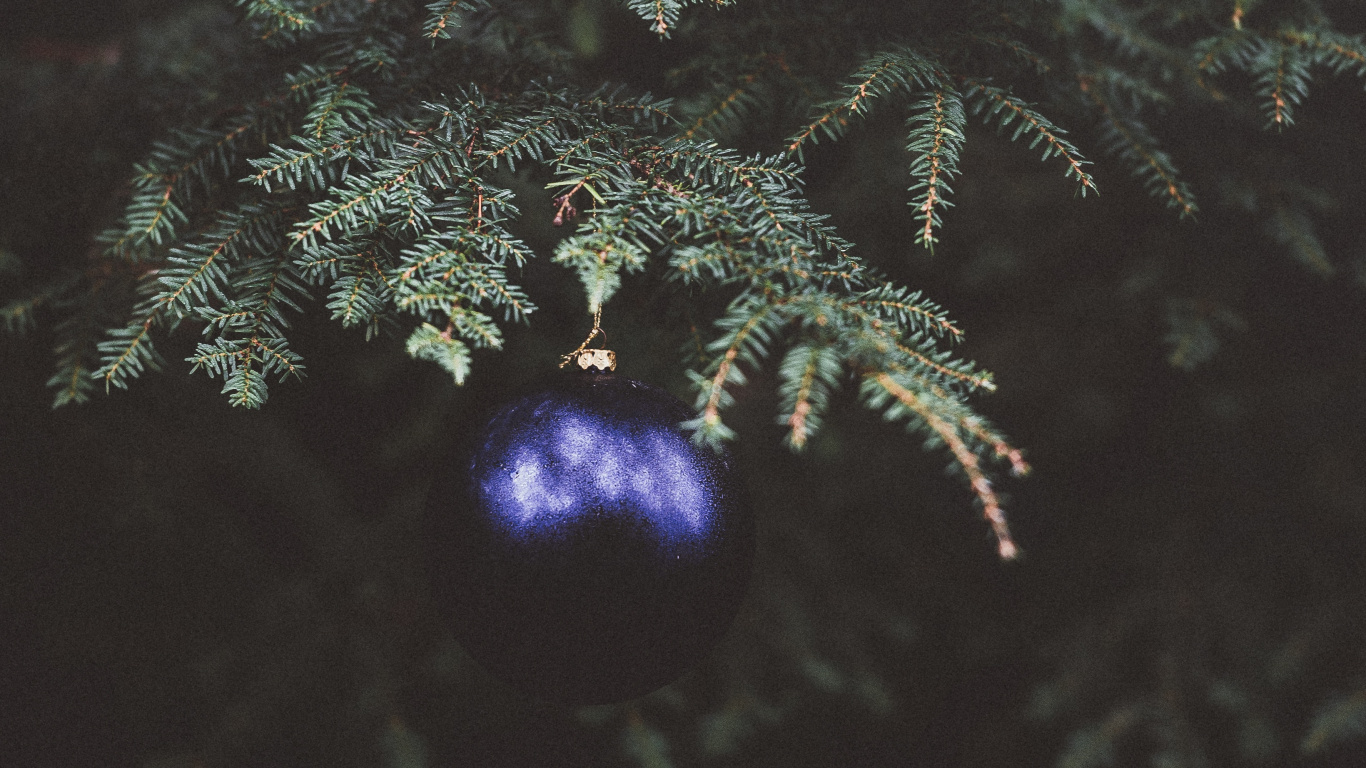 Christmas Day, Fir, Tree, Plant, Christmas. Wallpaper in 1366x768 Resolution
