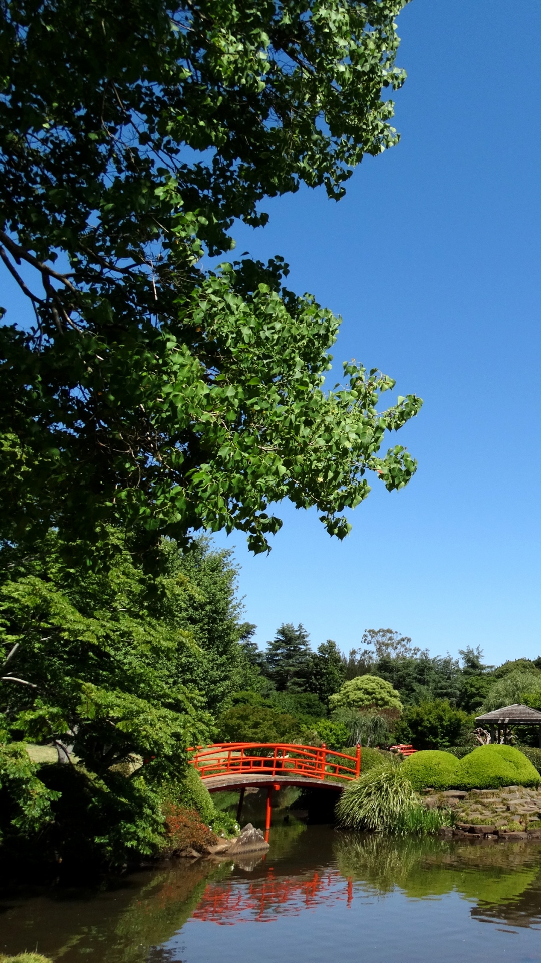 Green Trees Beside River Under Blue Sky During Daytime. Wallpaper in 1080x1920 Resolution