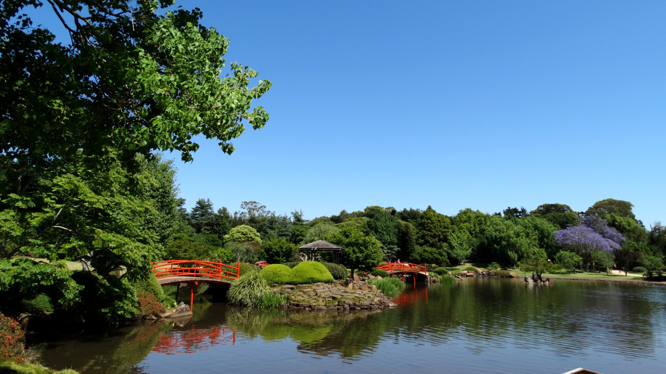 Green Trees Beside River Under Blue Sky During Daytime. Wallpaper in 1366x768 Resolution