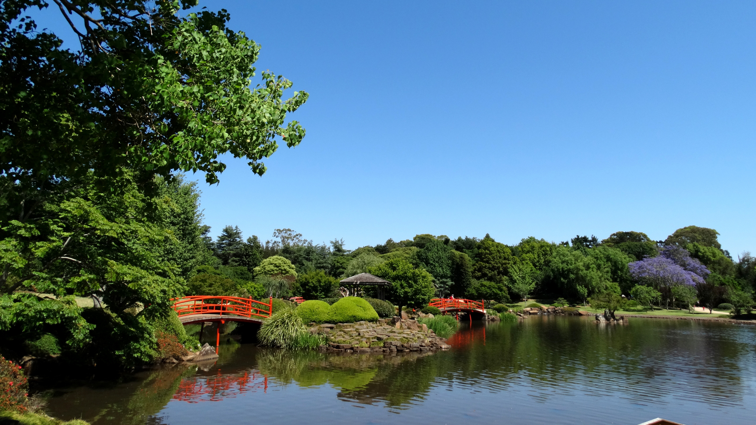 Green Trees Beside River Under Blue Sky During Daytime. Wallpaper in 2560x1440 Resolution