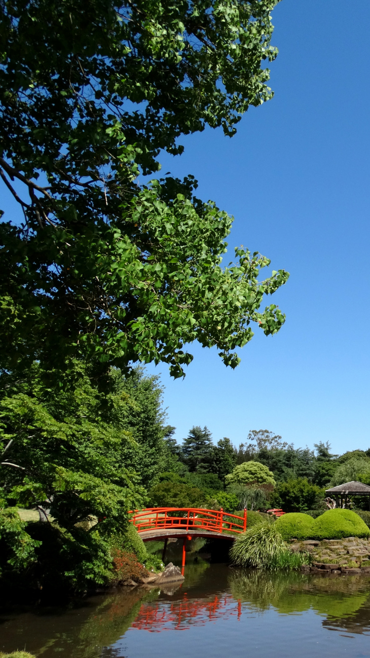 Green Trees Beside River Under Blue Sky During Daytime. Wallpaper in 750x1334 Resolution