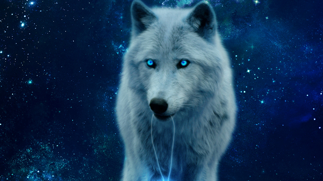 Weißer Wolf Mit Schwarzem Hintergrund. Wallpaper in 1366x768 Resolution