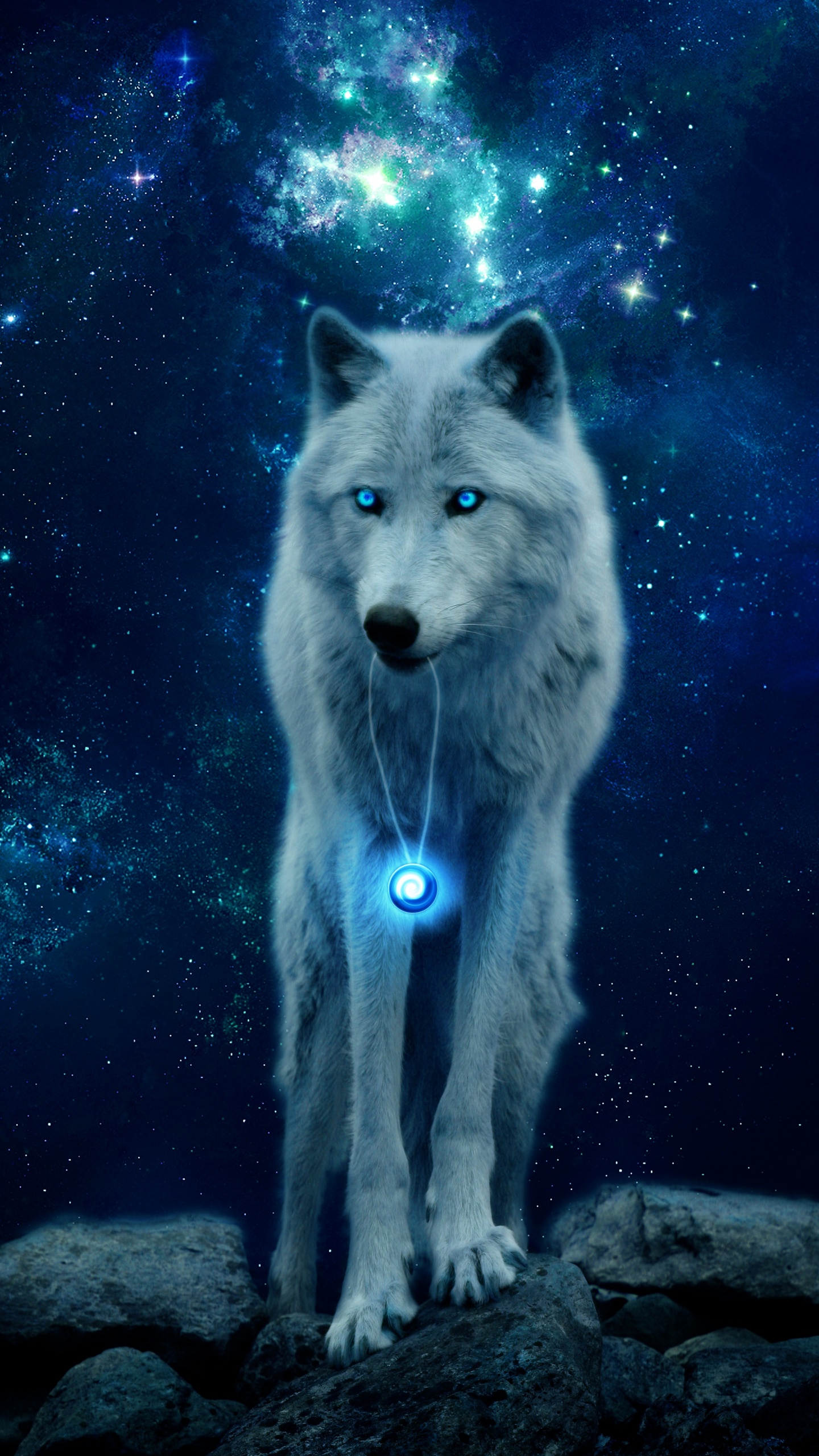 Weißer Wolf Mit Schwarzem Hintergrund. Wallpaper in 1440x2560 Resolution