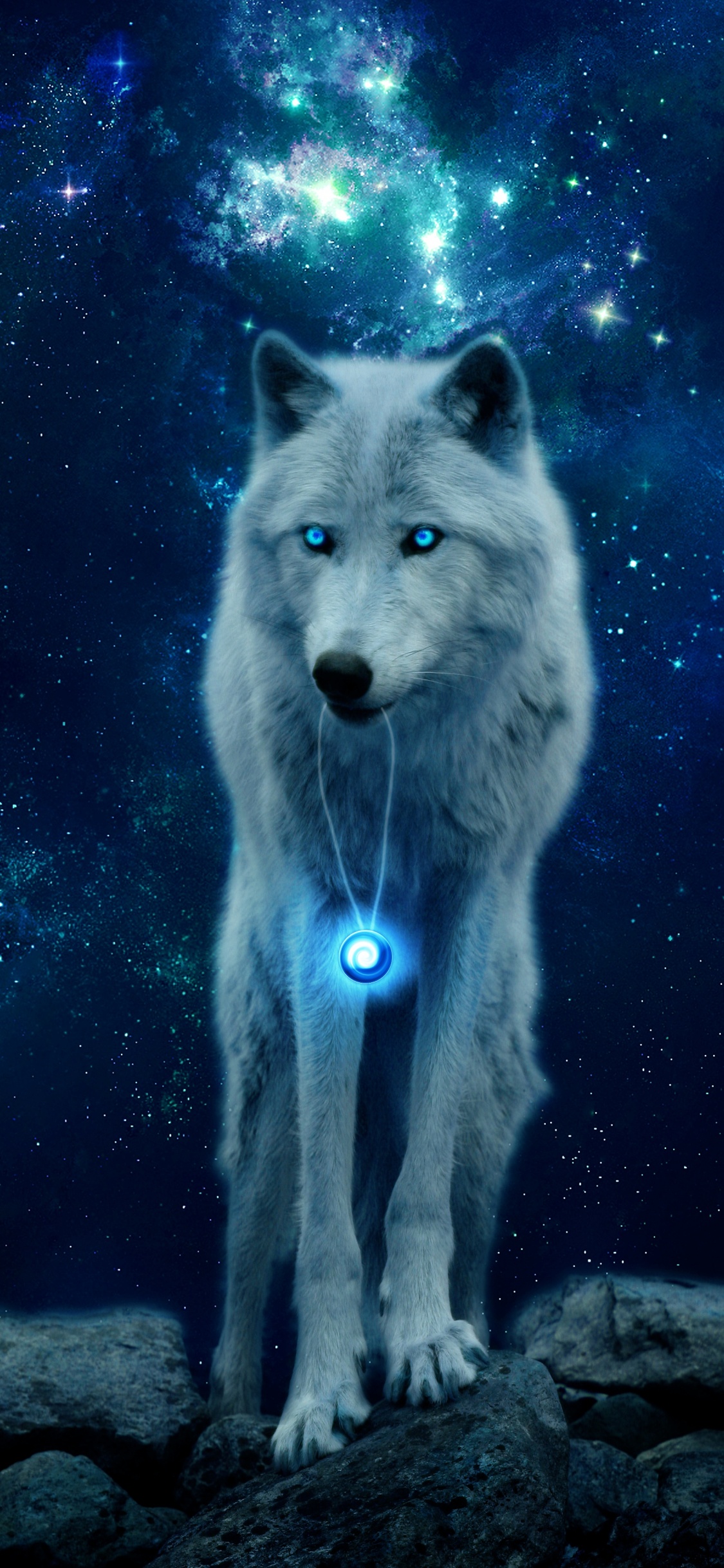 Lobo Blanco Con Fondo Negro. Wallpaper in 1125x2436 Resolution