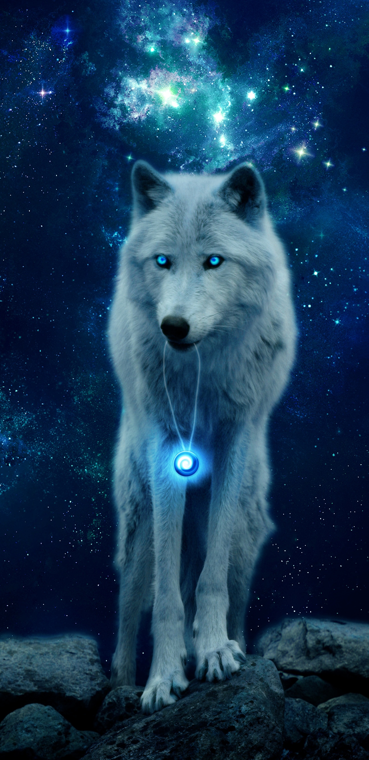 Lobo Blanco Con Fondo Negro. Wallpaper in 1440x2960 Resolution