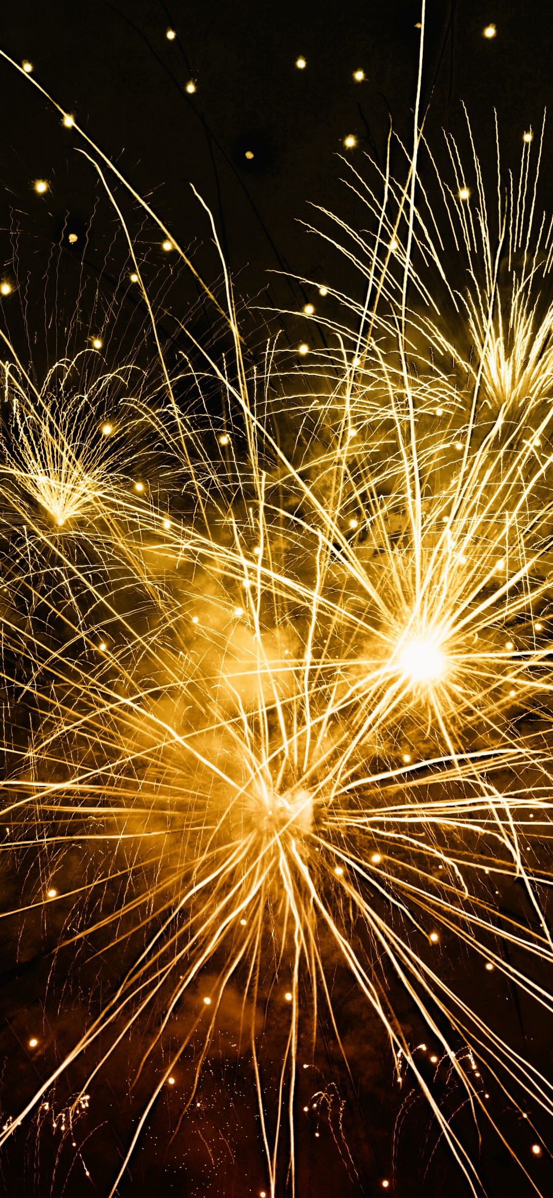 Fireworks, New Years Day, Nature, Midnight, Diwali. Wallpaper in 1125x2436 Resolution