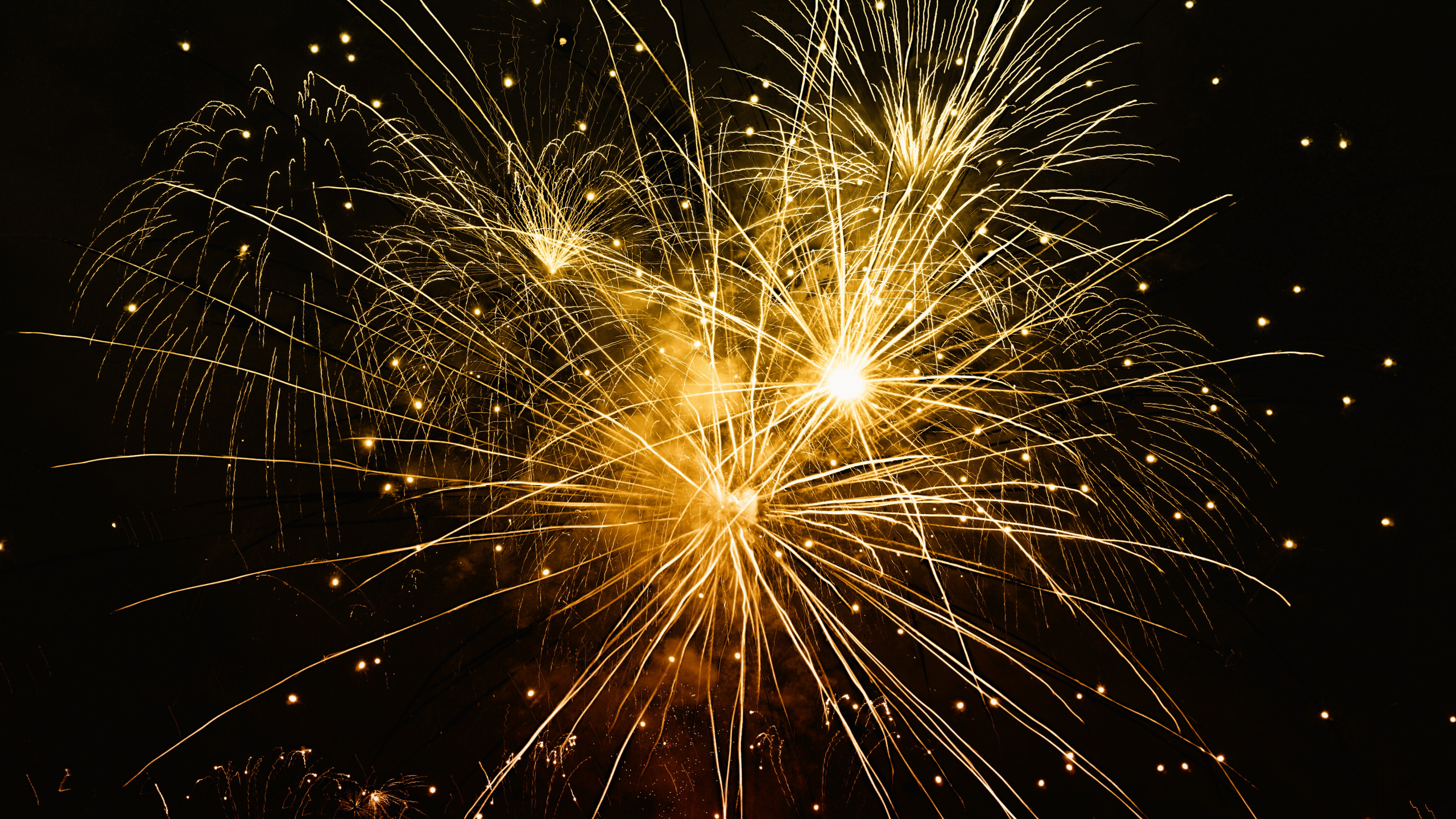 Fireworks, New Years Day, Nature, Midnight, Diwali. Wallpaper in 2560x1440 Resolution