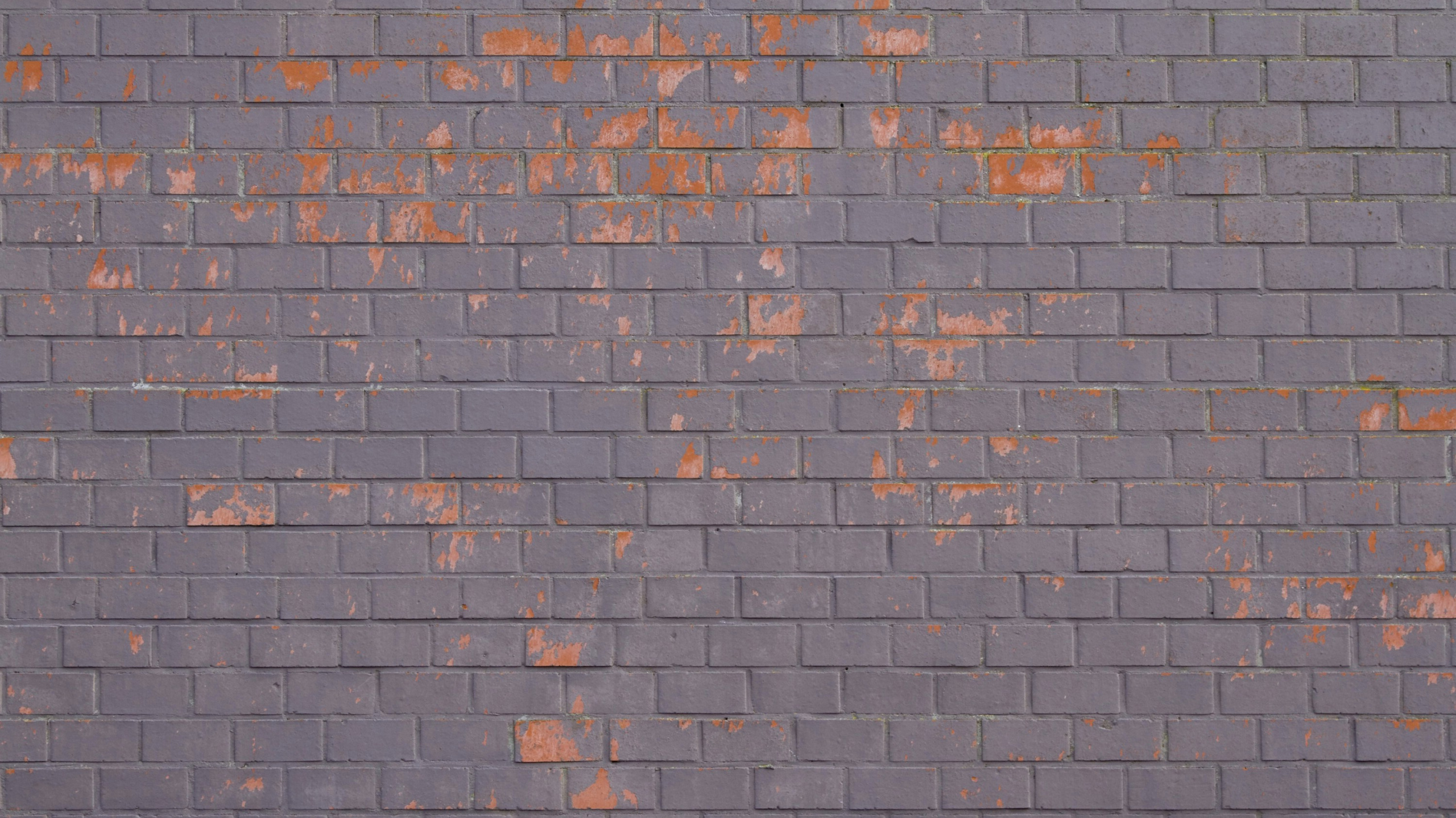 Braune Und Graue Mauer. Wallpaper in 2560x1440 Resolution