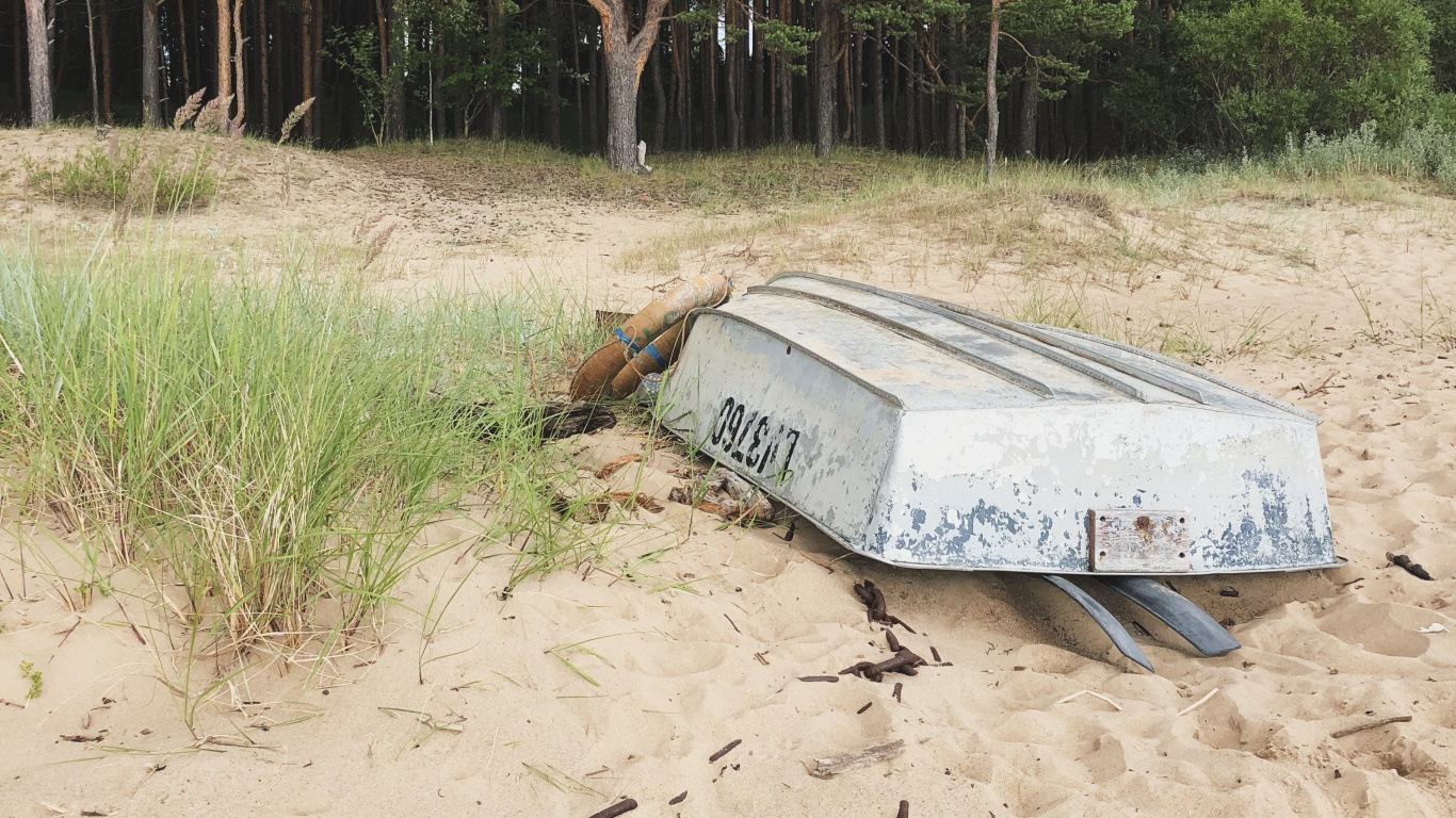 Arena, Agua, la Comunidad Vegetal, Biología, Ciencia. Wallpaper in 1366x768 Resolution
