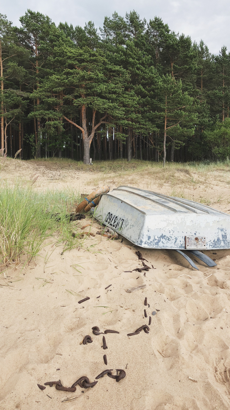 Sand, Eau, Plante de la Communauté, Biologie, Sciences. Wallpaper in 750x1334 Resolution