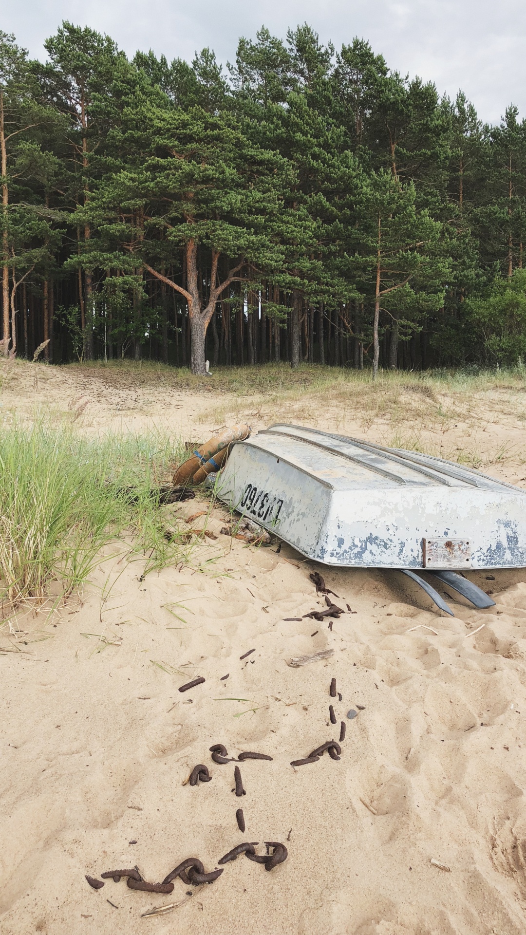 Sand, Wasser, Pflanzen-Gemeinschaft, Biologie, Wissenschaft. Wallpaper in 1080x1920 Resolution