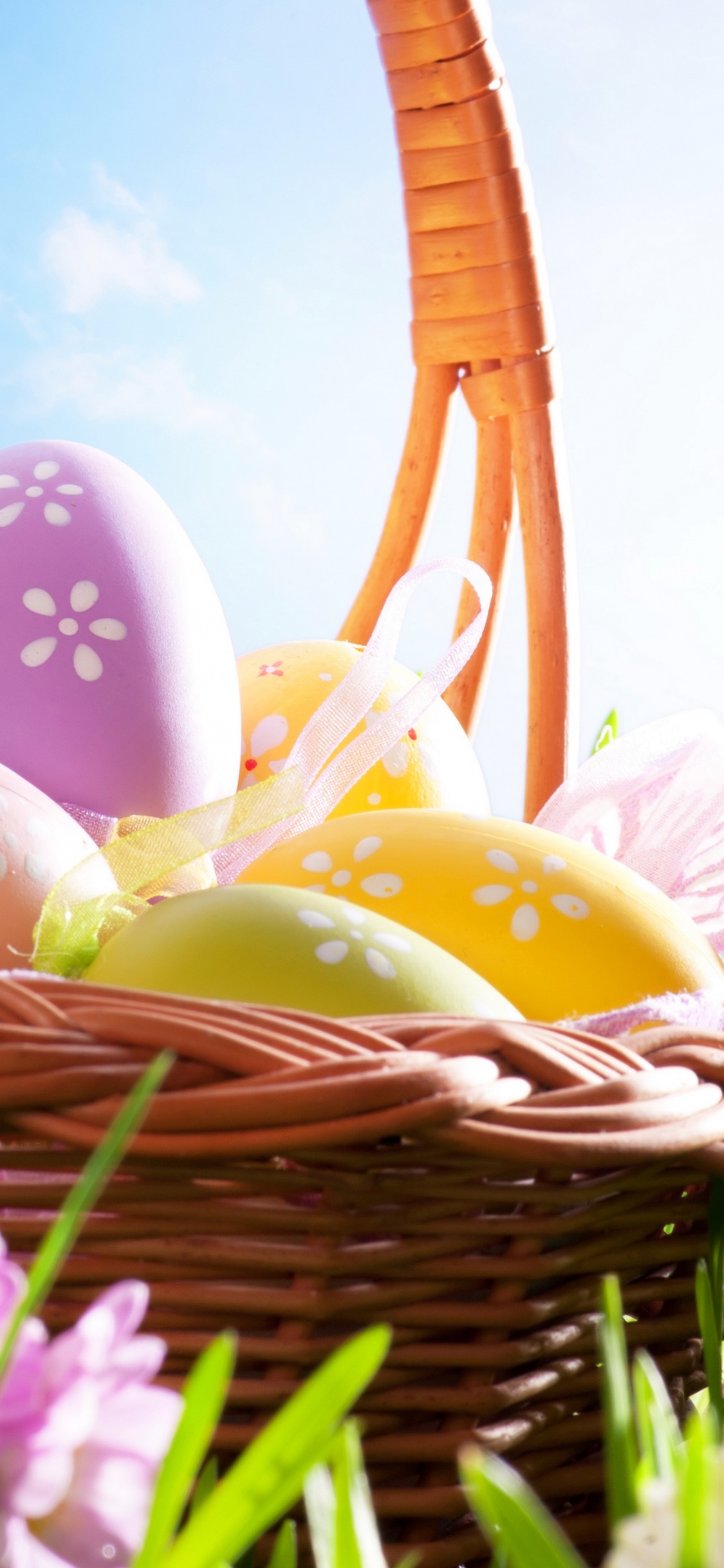 Spring, Easter, Grass, Easter Egg, Resurrection of Jesus. Wallpaper in 1125x2436 Resolution