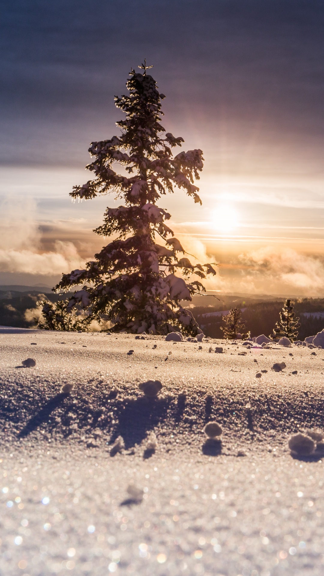 Ambiente, Paisaje Natural, la Luz Del Sol, Alerce, Nieve. Wallpaper in 1080x1920 Resolution