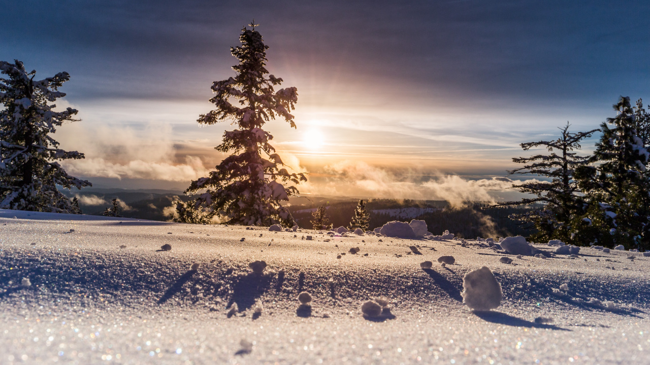 Ambiente, Paisaje Natural, la Luz Del Sol, Alerce, Nieve. Wallpaper in 1280x720 Resolution
