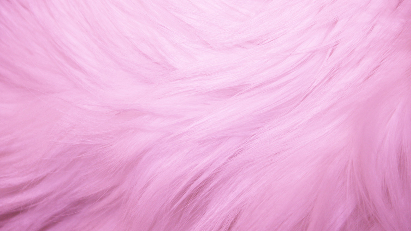Pink Textile in Close up Image. Wallpaper in 1366x768 Resolution