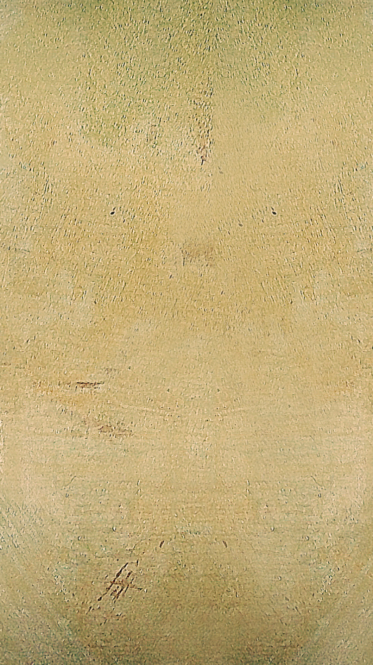 Textil Blanco Con Mancha Negra. Wallpaper in 750x1334 Resolution