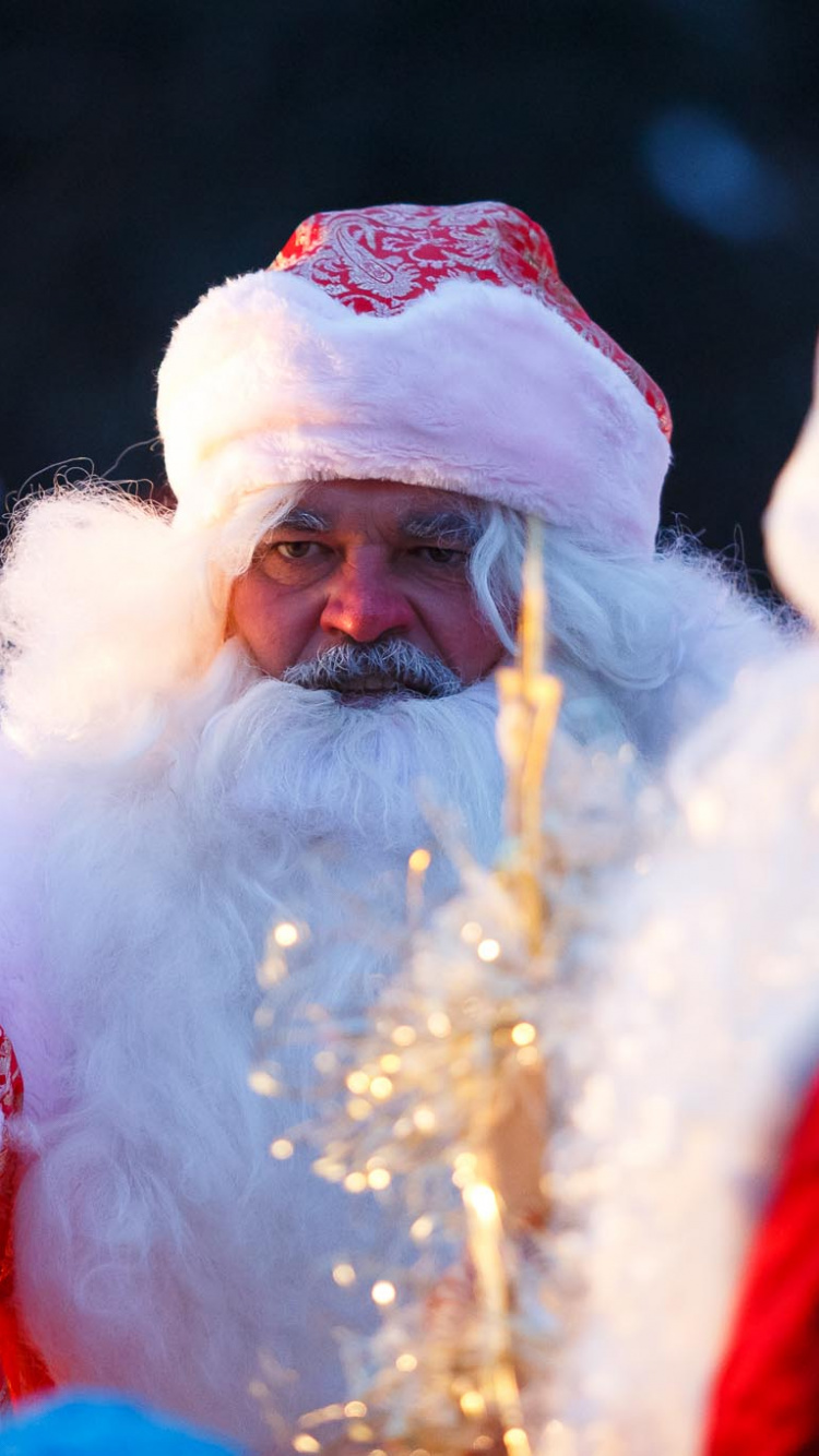 Santa Claus, Ded Moroz, Decoración de la Navidad, el Vello Facial, Tradición. Wallpaper in 750x1334 Resolution