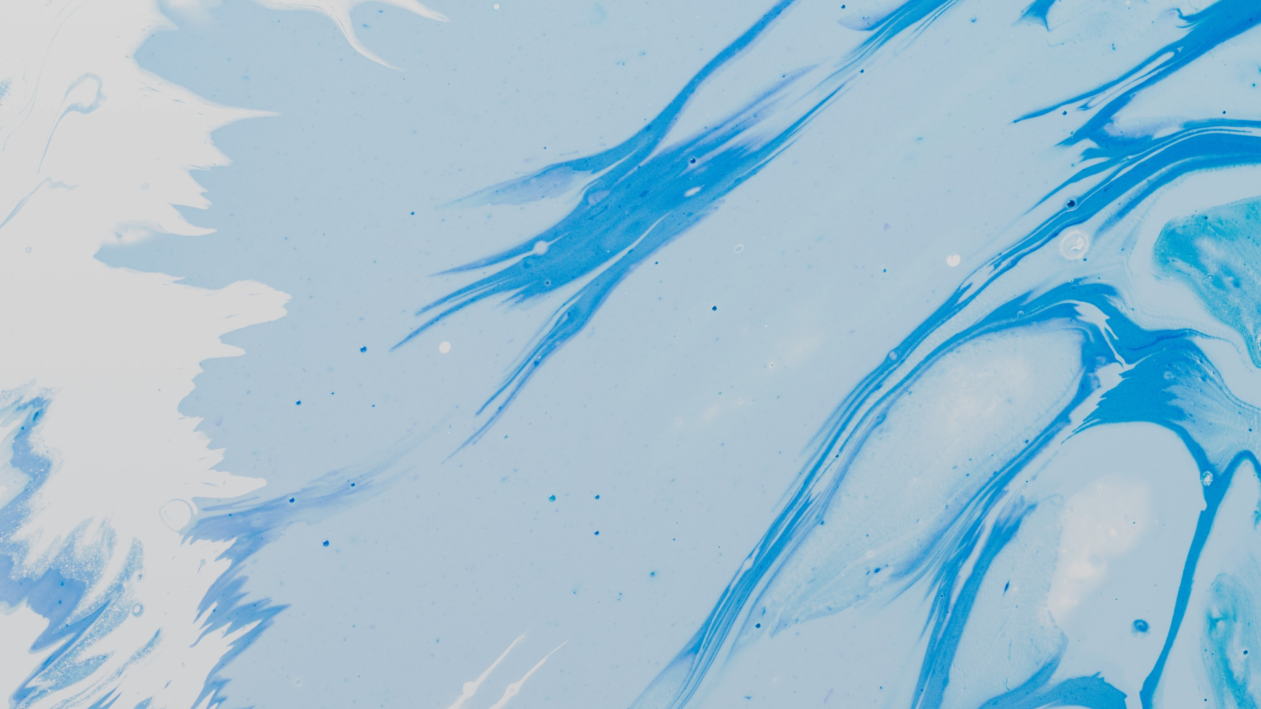 Blaue Und Weiße Abstrakte Malerei. Wallpaper in 2560x1440 Resolution