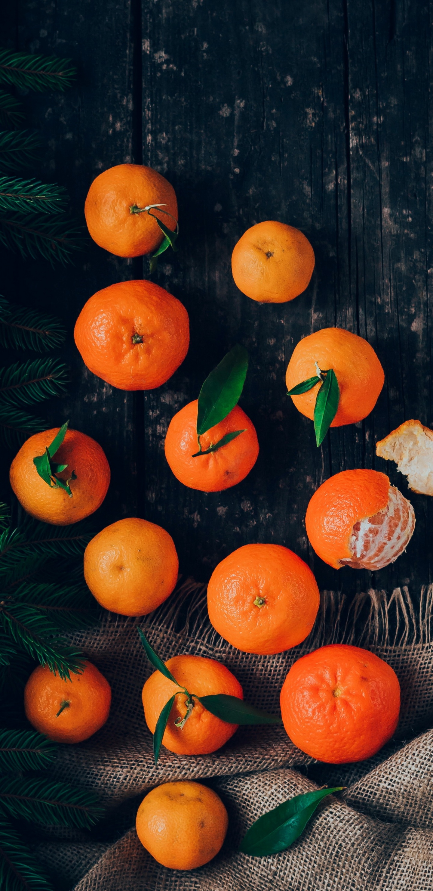 Orange, Clémentine, Aliment, Rangpur, Fruits. Wallpaper in 1440x2960 Resolution