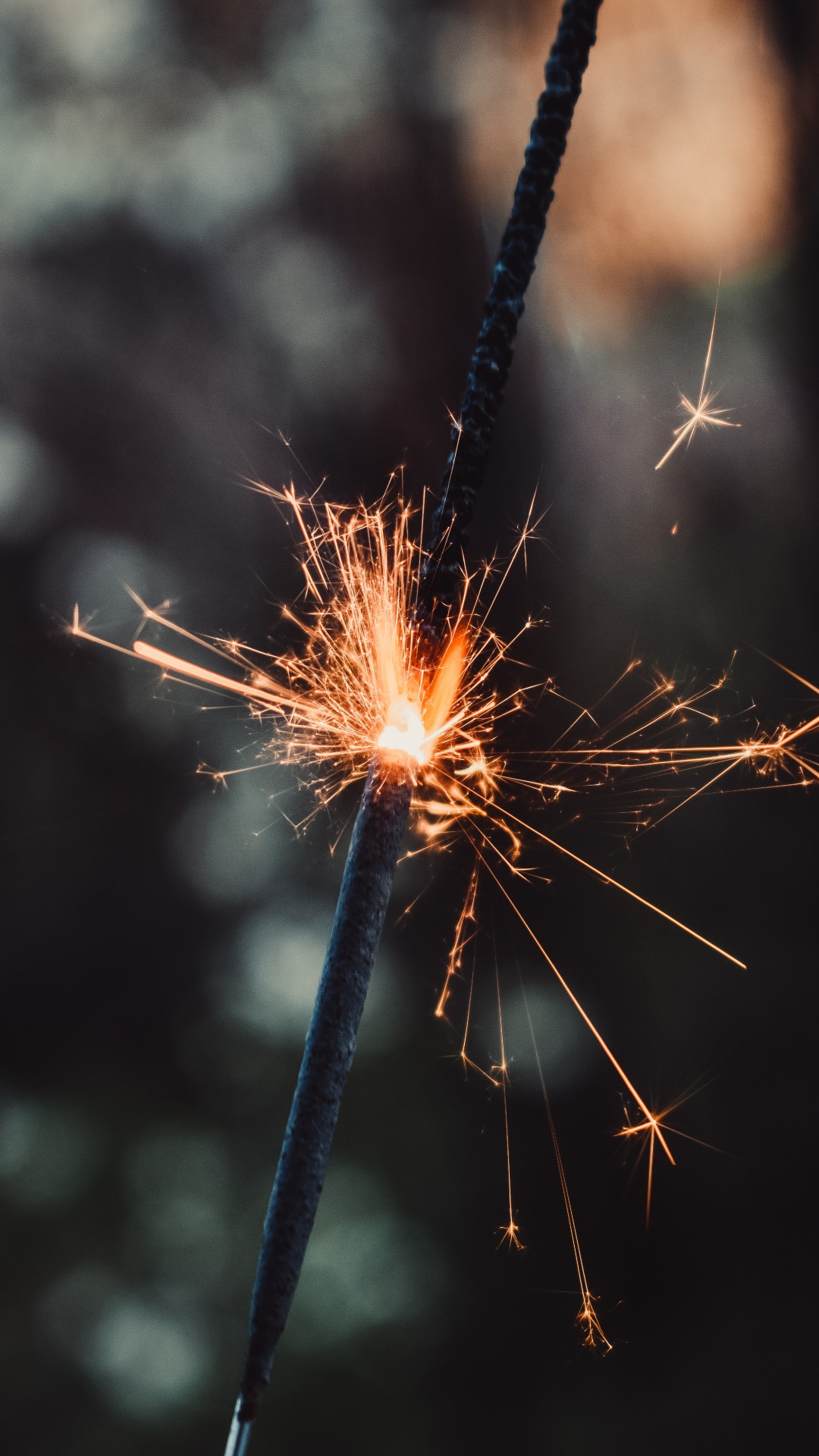 Brown and White Dandelion Flower in Close up Photography. Wallpaper in 1080x1920 Resolution