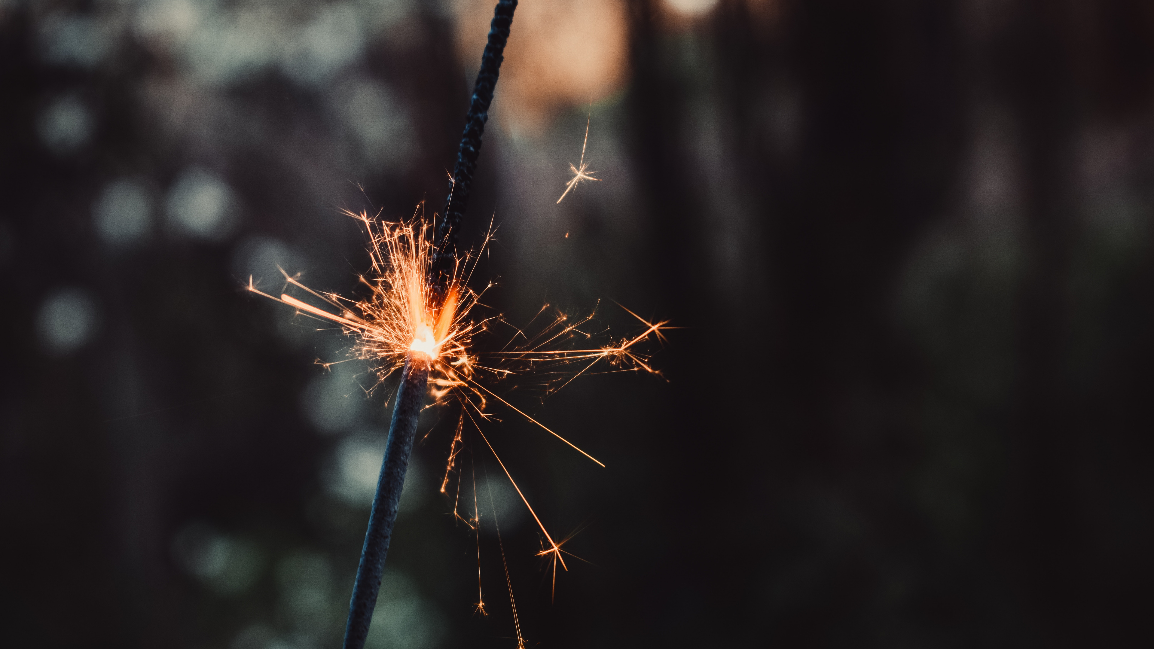 Brown and White Dandelion Flower in Close up Photography. Wallpaper in 3840x2160 Resolution