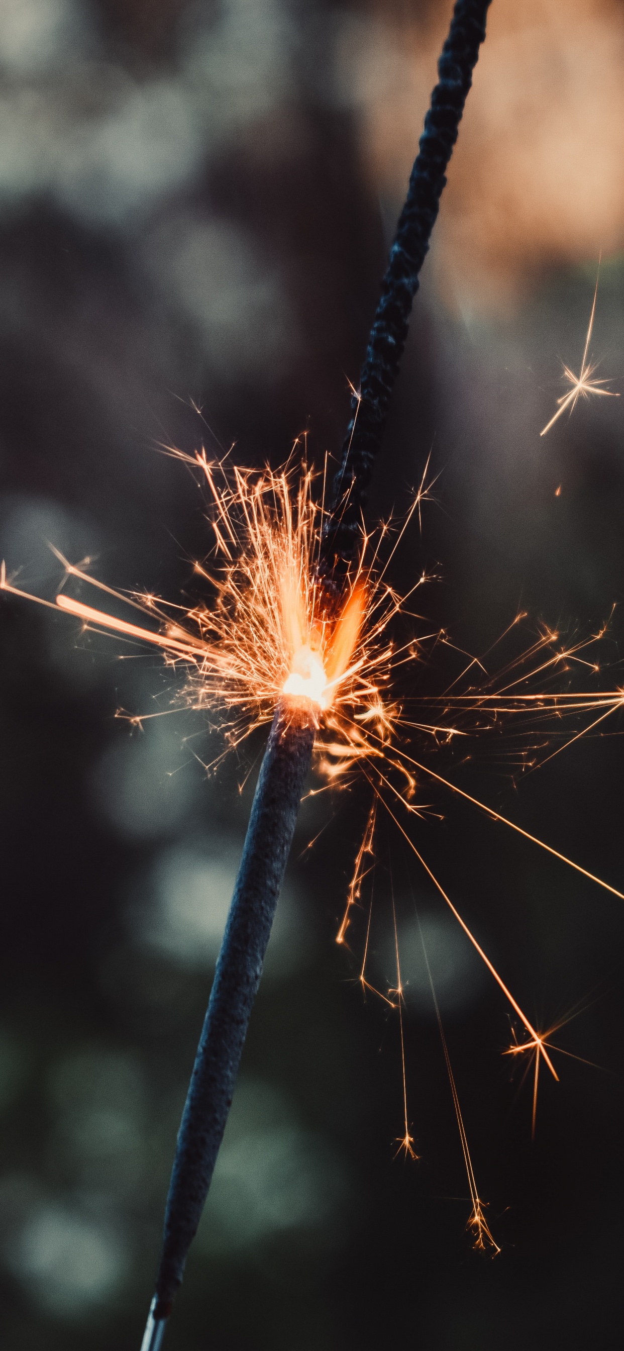 Fleur de Pissenlit Marron et Blanc en Photographie Rapprochée. Wallpaper in 1242x2688 Resolution