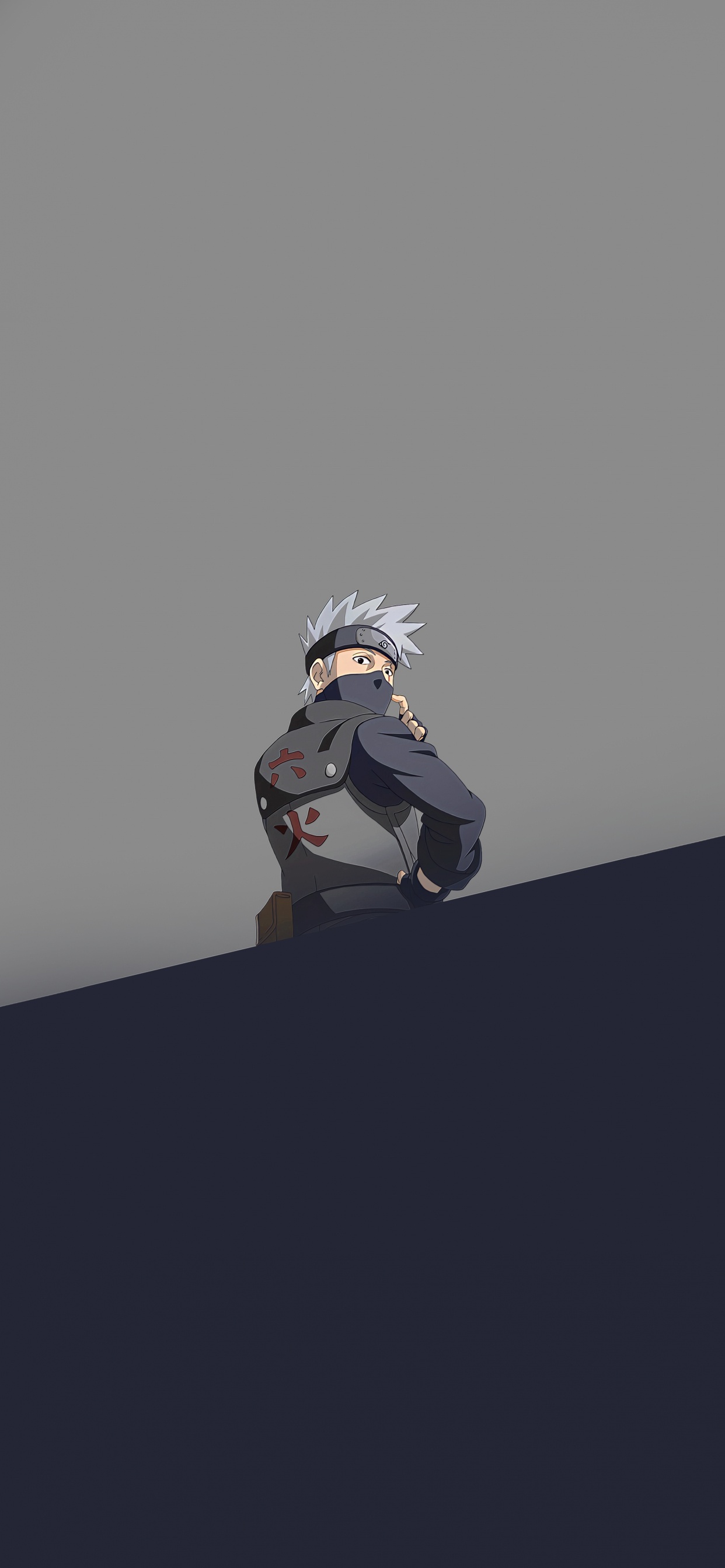 Art, Gris, Toit, Carmine, Sport Extrême. Wallpaper in 1242x2688 Resolution