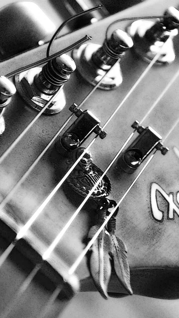 Guitarra, Guitarra Eléctrica, Fender Telecaster, Bass Guitar, Instrumento de Cuerda. Wallpaper in 720x1280 Resolution