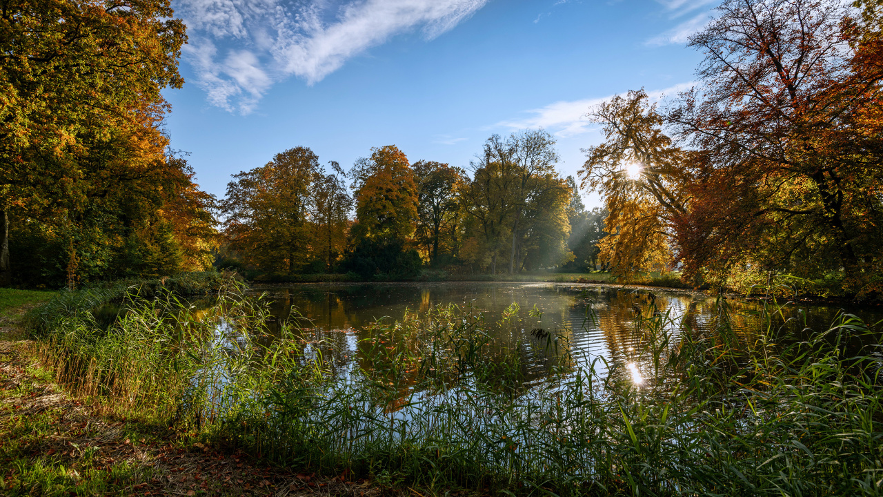 Green Trees Beside River Under Blue Sky During Daytime. Wallpaper in 1280x720 Resolution