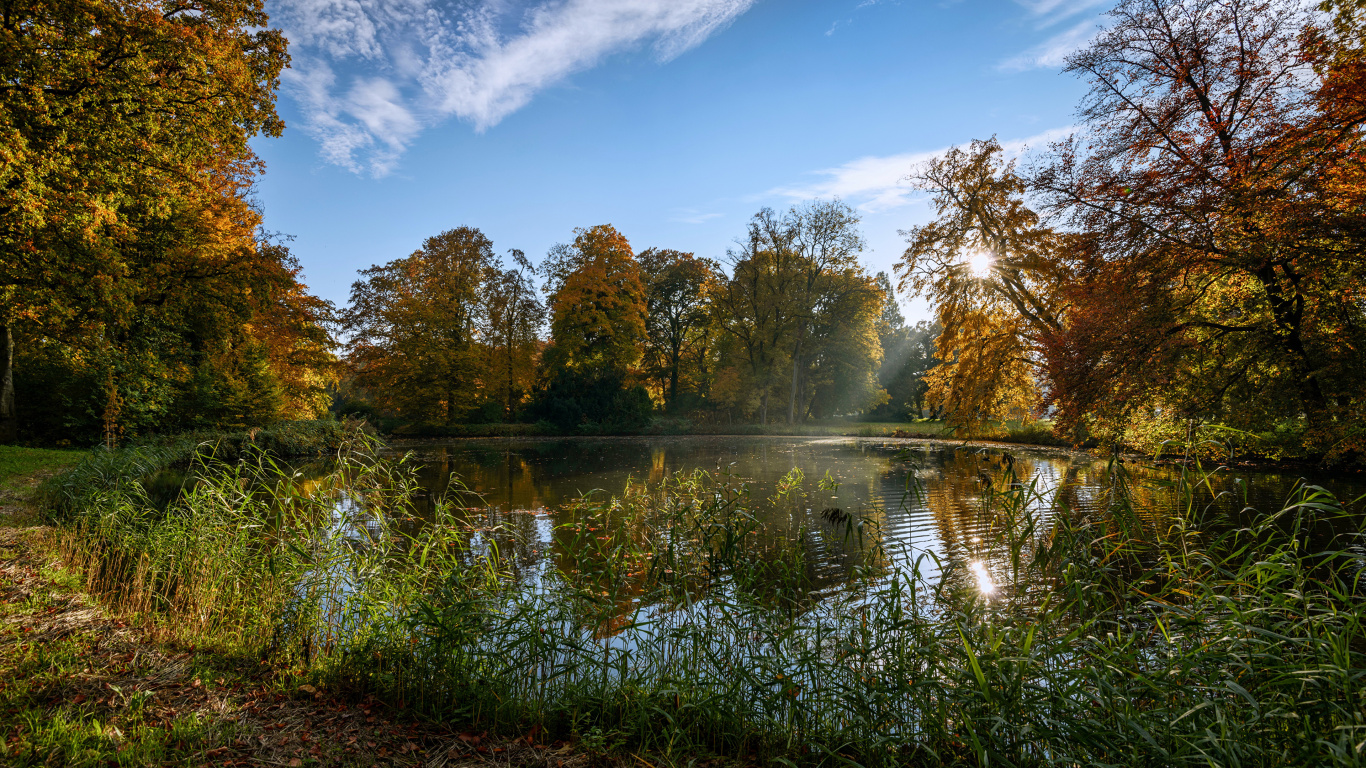 Green Trees Beside River Under Blue Sky During Daytime. Wallpaper in 1366x768 Resolution