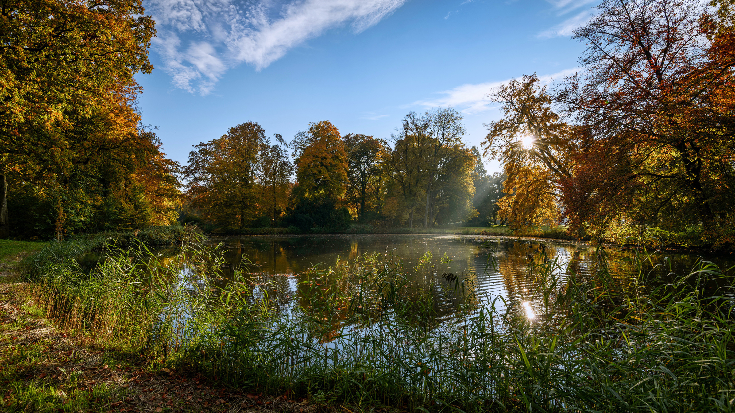 Green Trees Beside River Under Blue Sky During Daytime. Wallpaper in 2560x1440 Resolution