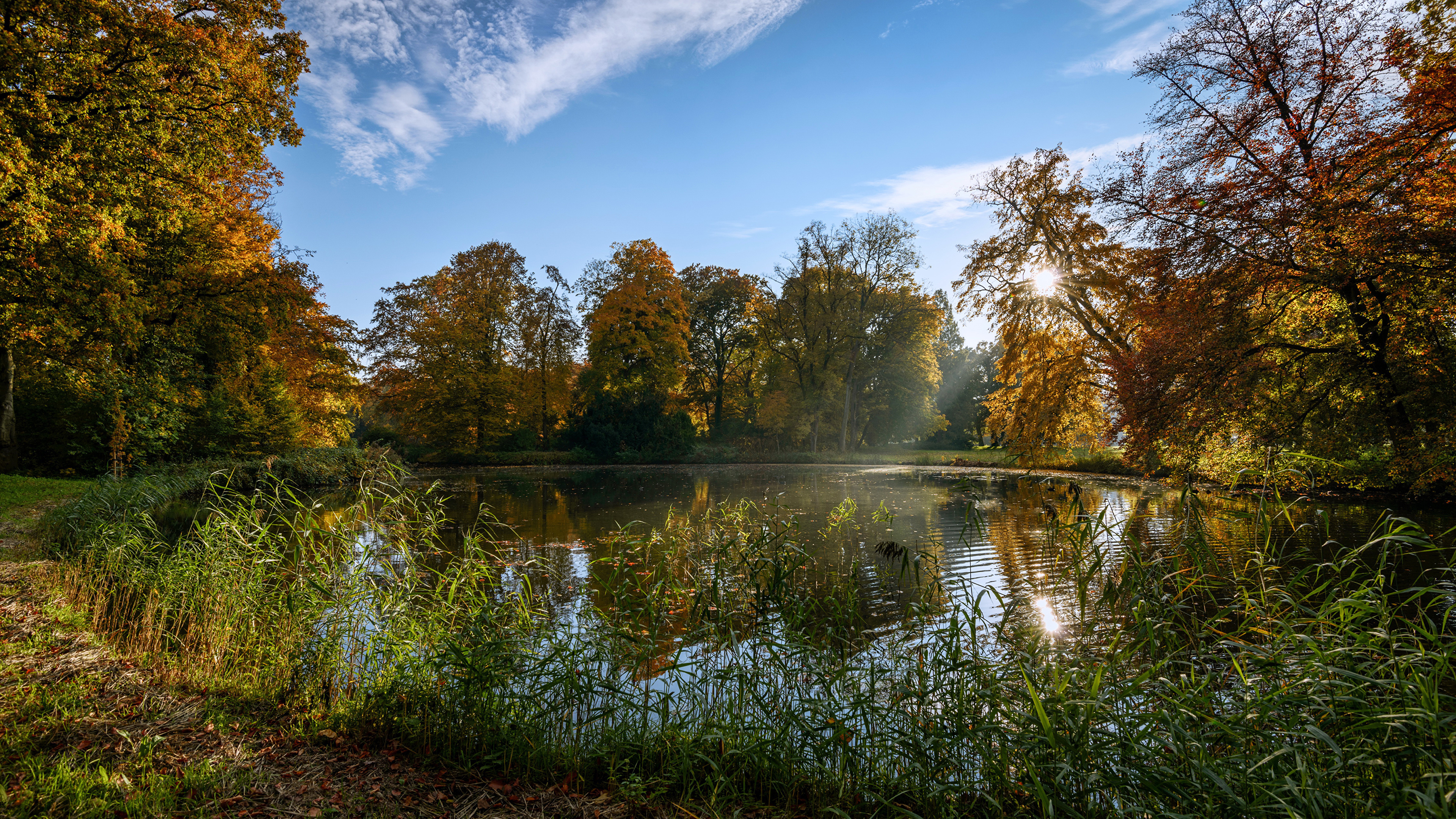 Green Trees Beside River Under Blue Sky During Daytime. Wallpaper in 3840x2160 Resolution