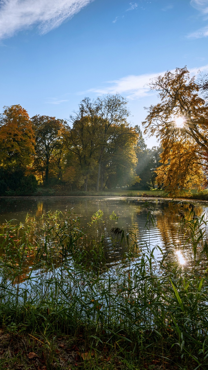 Green Trees Beside River Under Blue Sky During Daytime. Wallpaper in 720x1280 Resolution