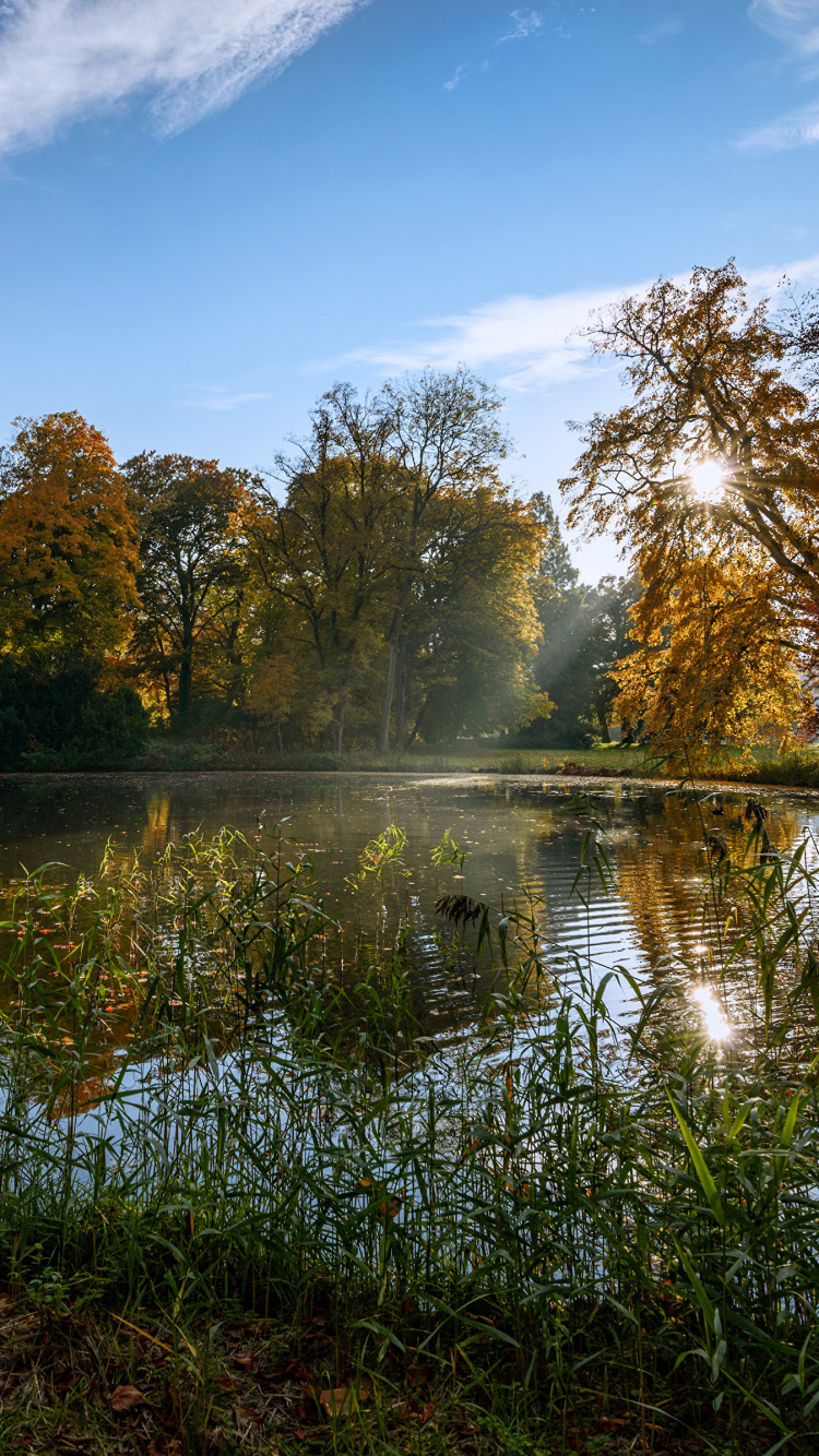 Grüne Bäume Neben Dem Fluss Unter Blauem Himmel Tagsüber. Wallpaper in 750x1334 Resolution