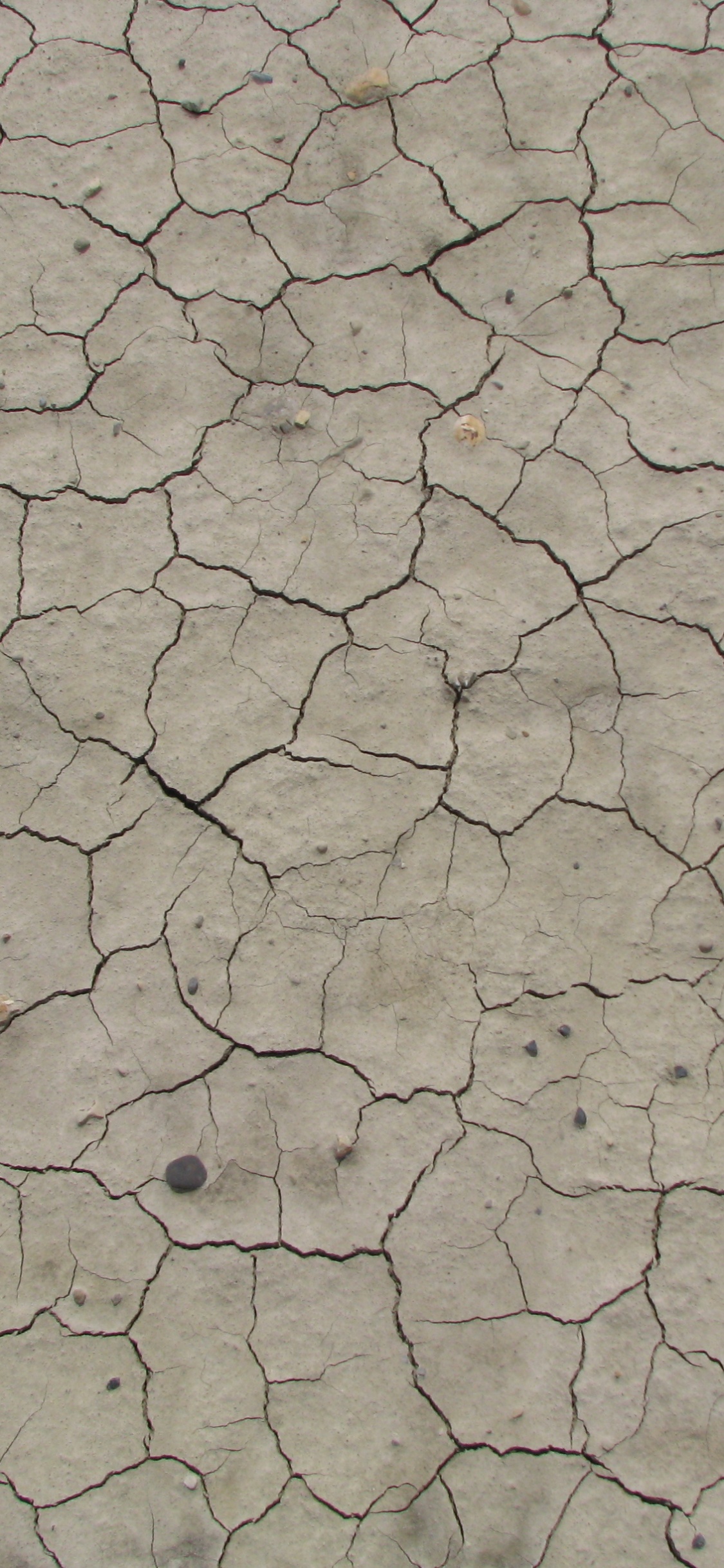 Brown and Gray Concrete Floor. Wallpaper in 1125x2436 Resolution