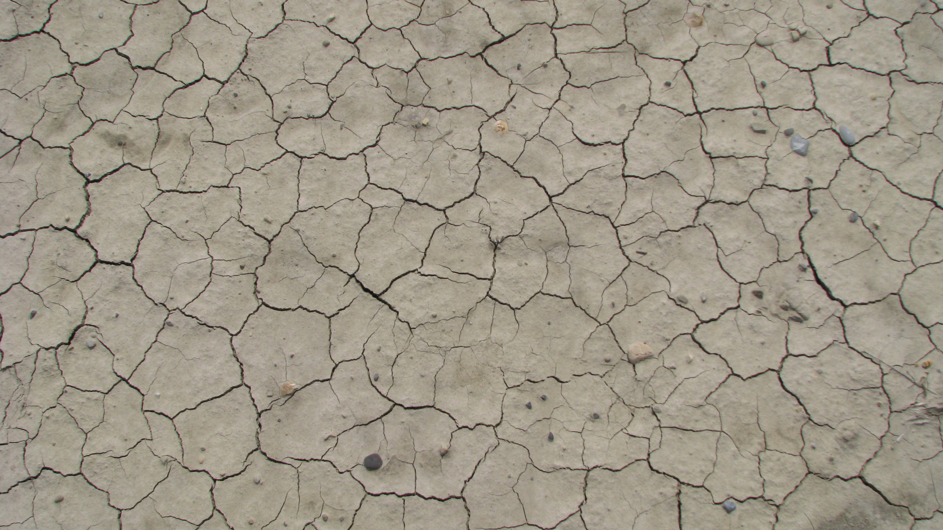 Brown and Gray Concrete Floor. Wallpaper in 1920x1080 Resolution