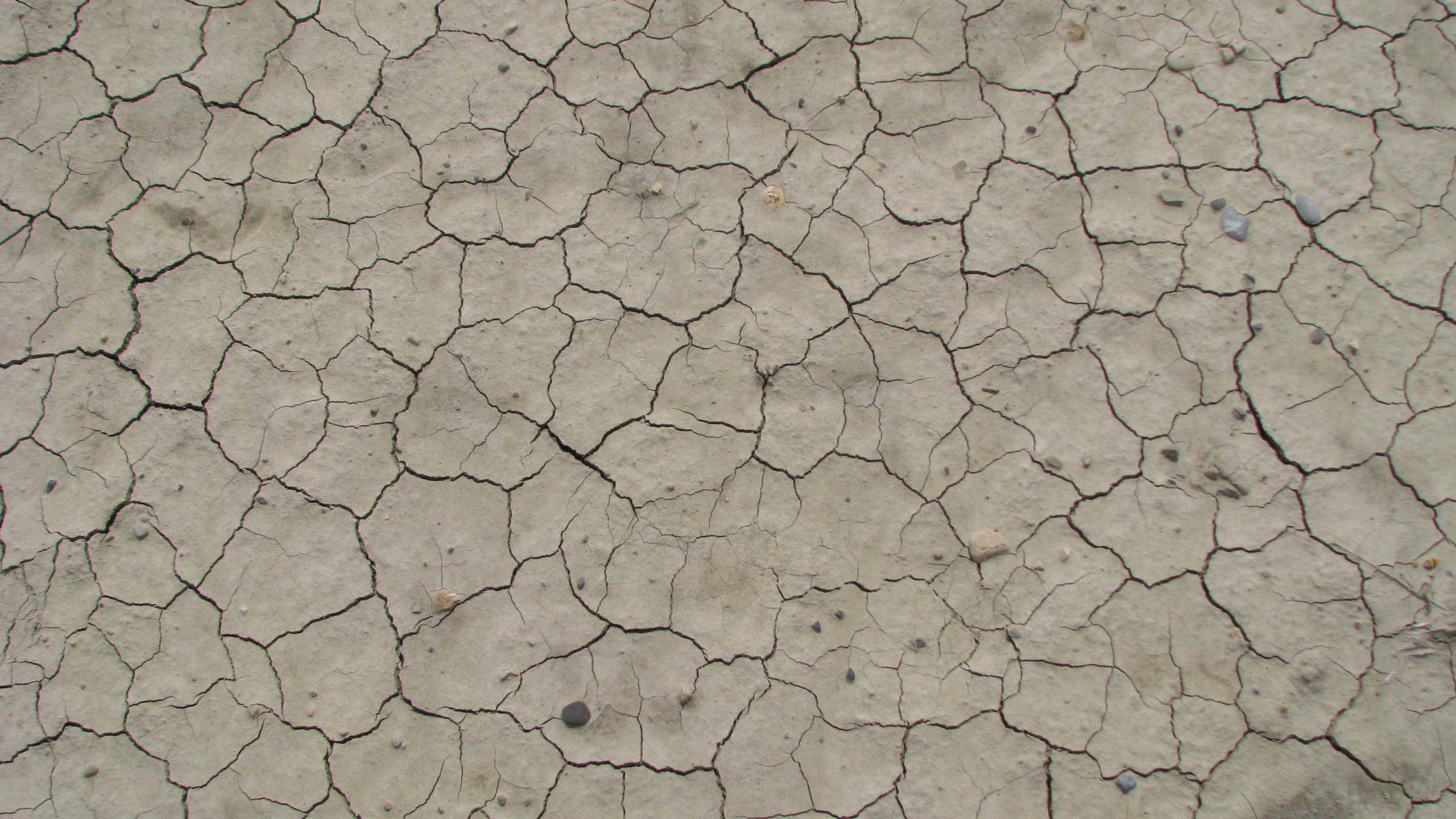 Brown and Gray Concrete Floor. Wallpaper in 2560x1440 Resolution