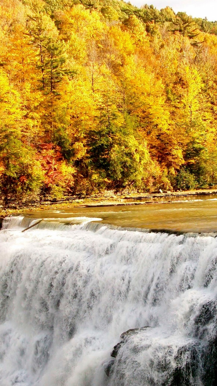 Waterfalls in Forest During Daytime. Wallpaper in 720x1280 Resolution