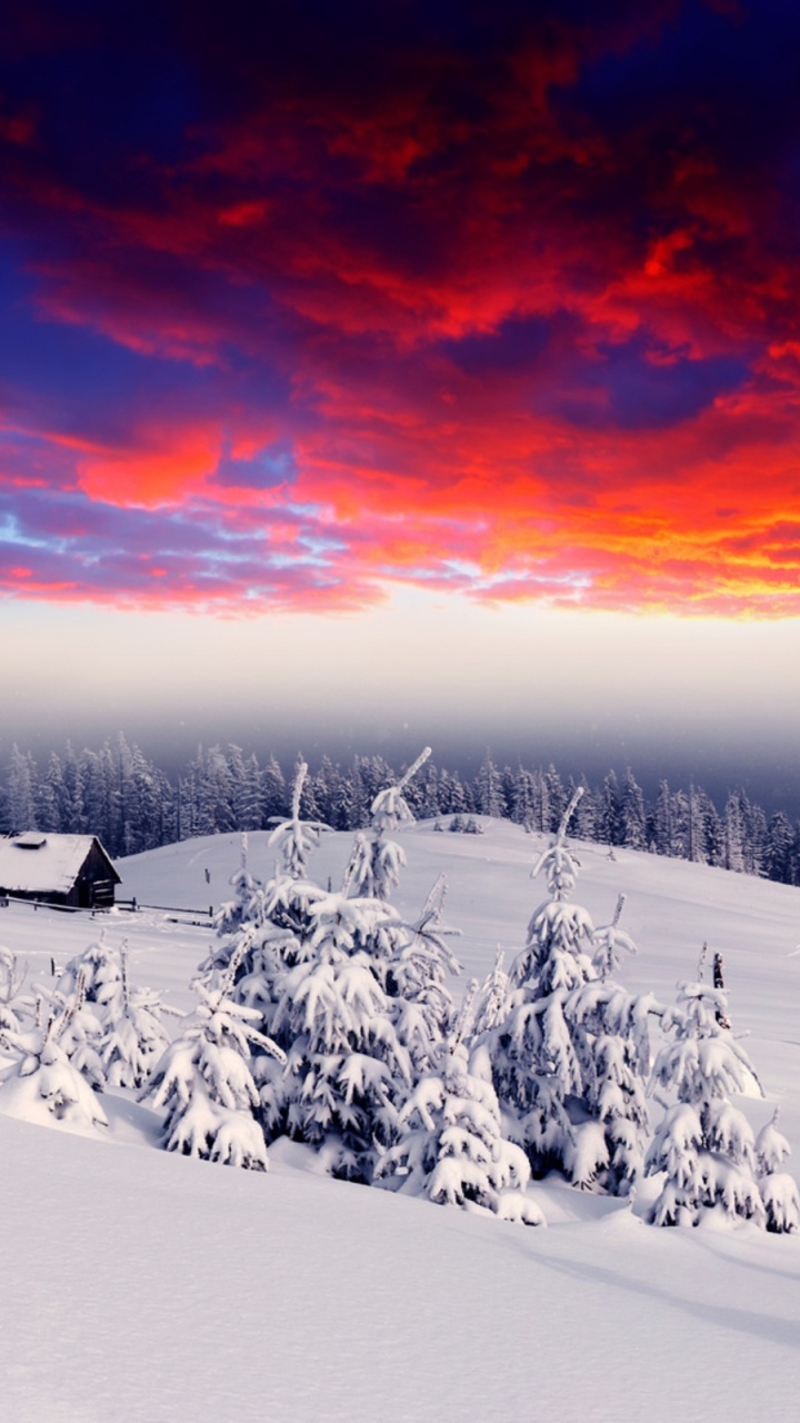 Champ Couvert de Neige au Coucher du Soleil. Wallpaper in 720x1280 Resolution