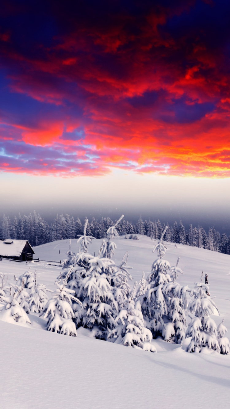 Campo Cubierto de Nieve Durante la Puesta de Sol. Wallpaper in 750x1334 Resolution