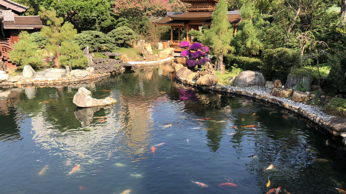 Hongkong, Reflexion, Wasserlauf, Garden, Wasserspiel. Wallpaper in 1366x768 Resolution