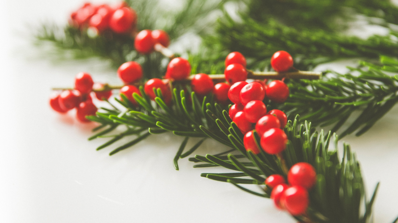 Fruits Ronds Rouges Sur Une Surface Blanche. Wallpaper in 1366x768 Resolution