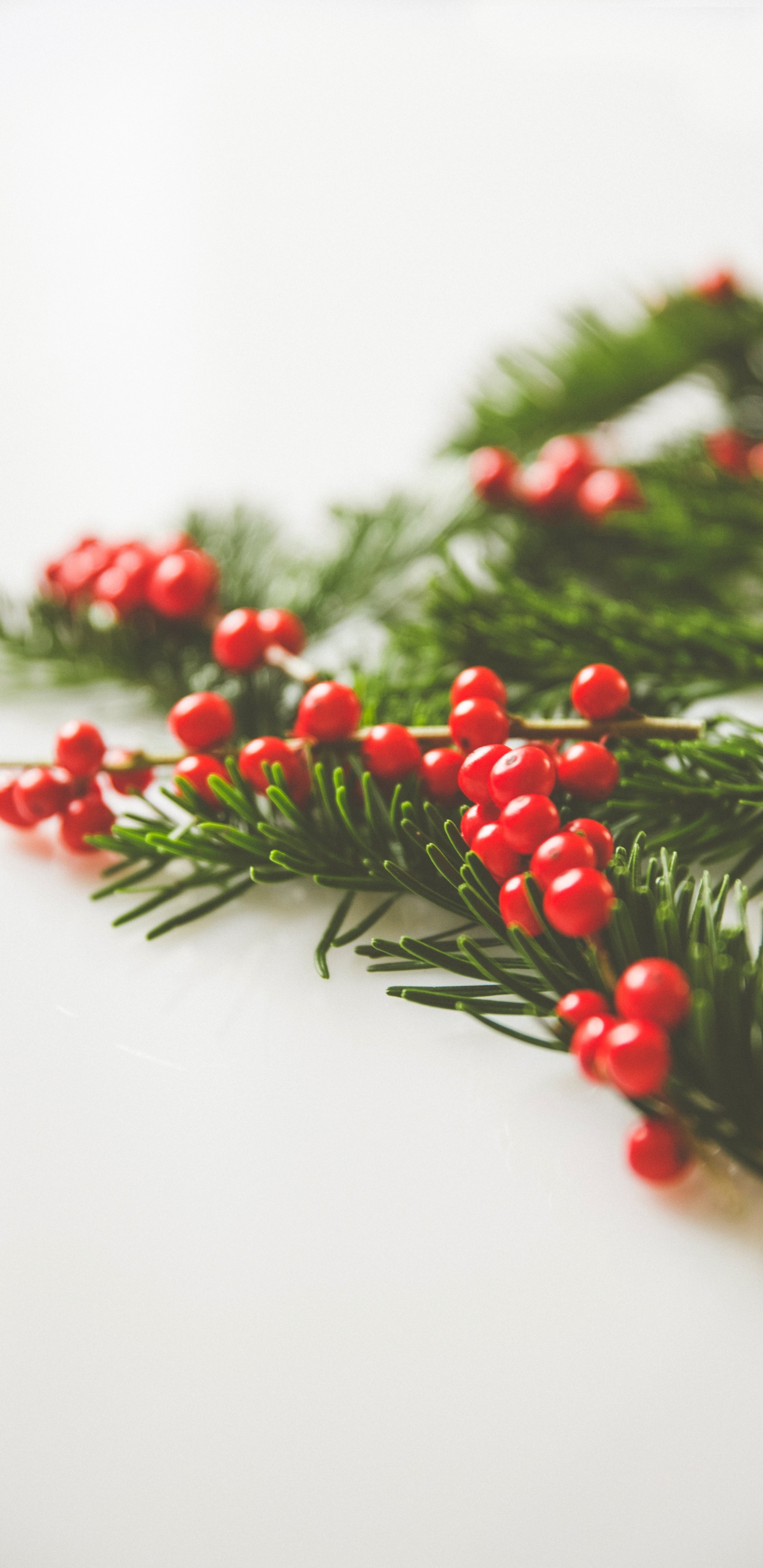 Fruits Ronds Rouges Sur Une Surface Blanche. Wallpaper in 1440x2960 Resolution