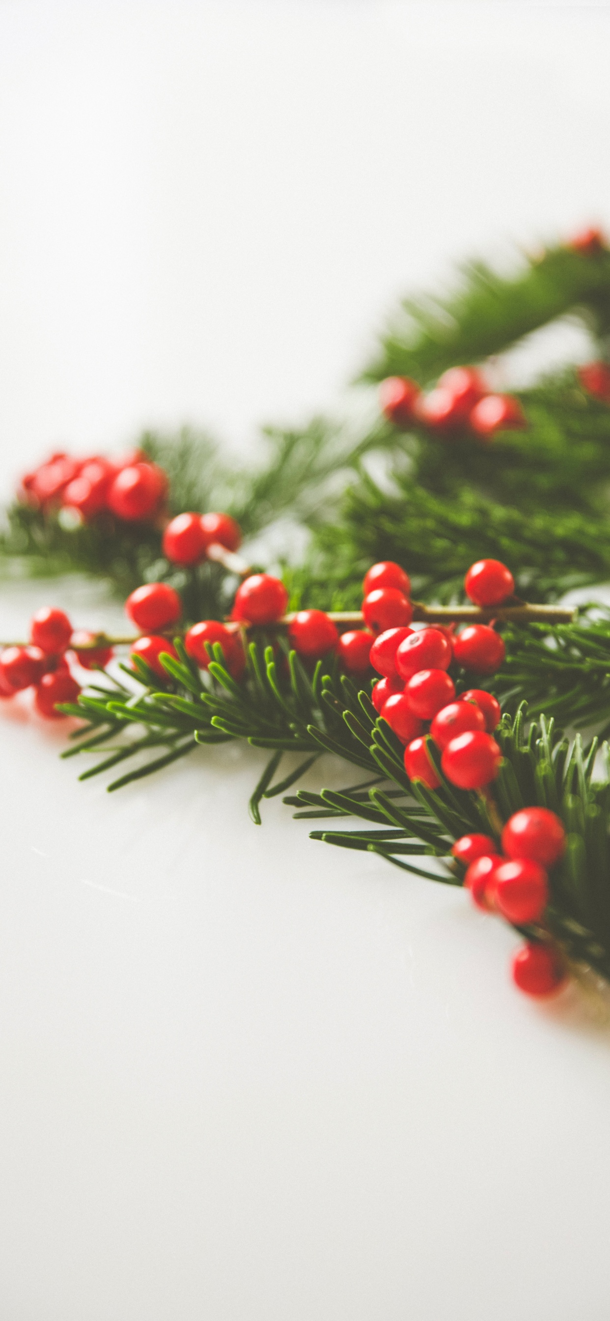 Frutos Rojos Redondos Sobre Superficie Blanca. Wallpaper in 1242x2688 Resolution