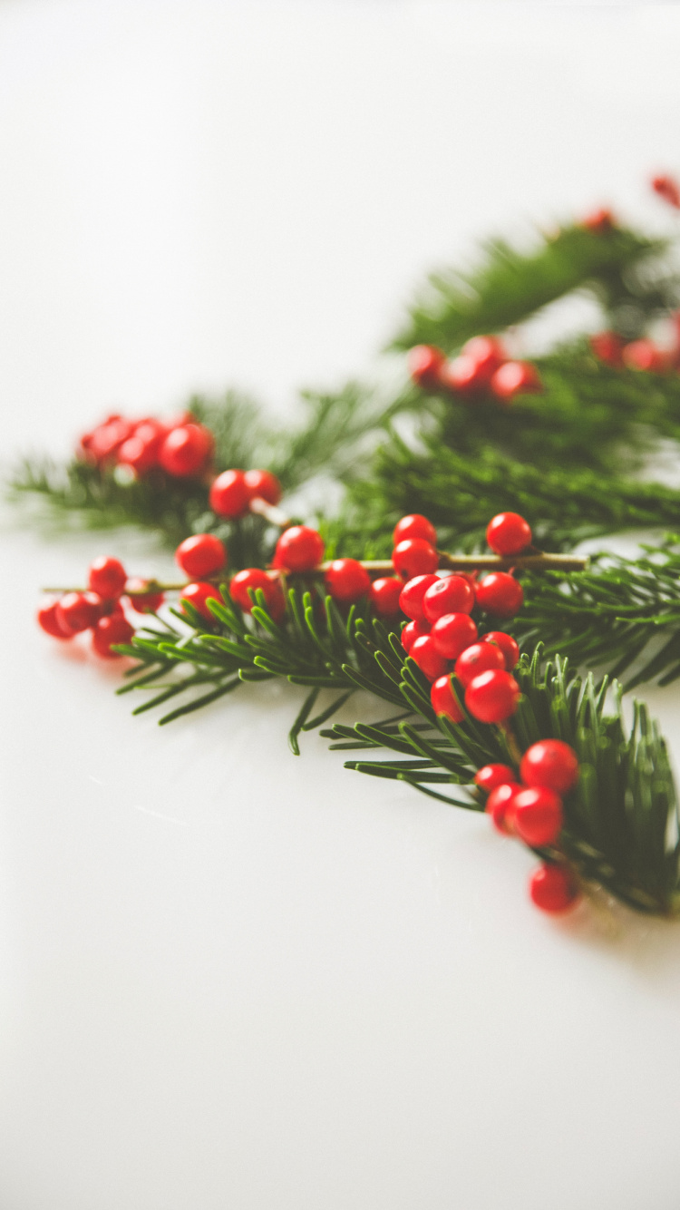 Frutos Rojos Redondos Sobre Superficie Blanca. Wallpaper in 750x1334 Resolution