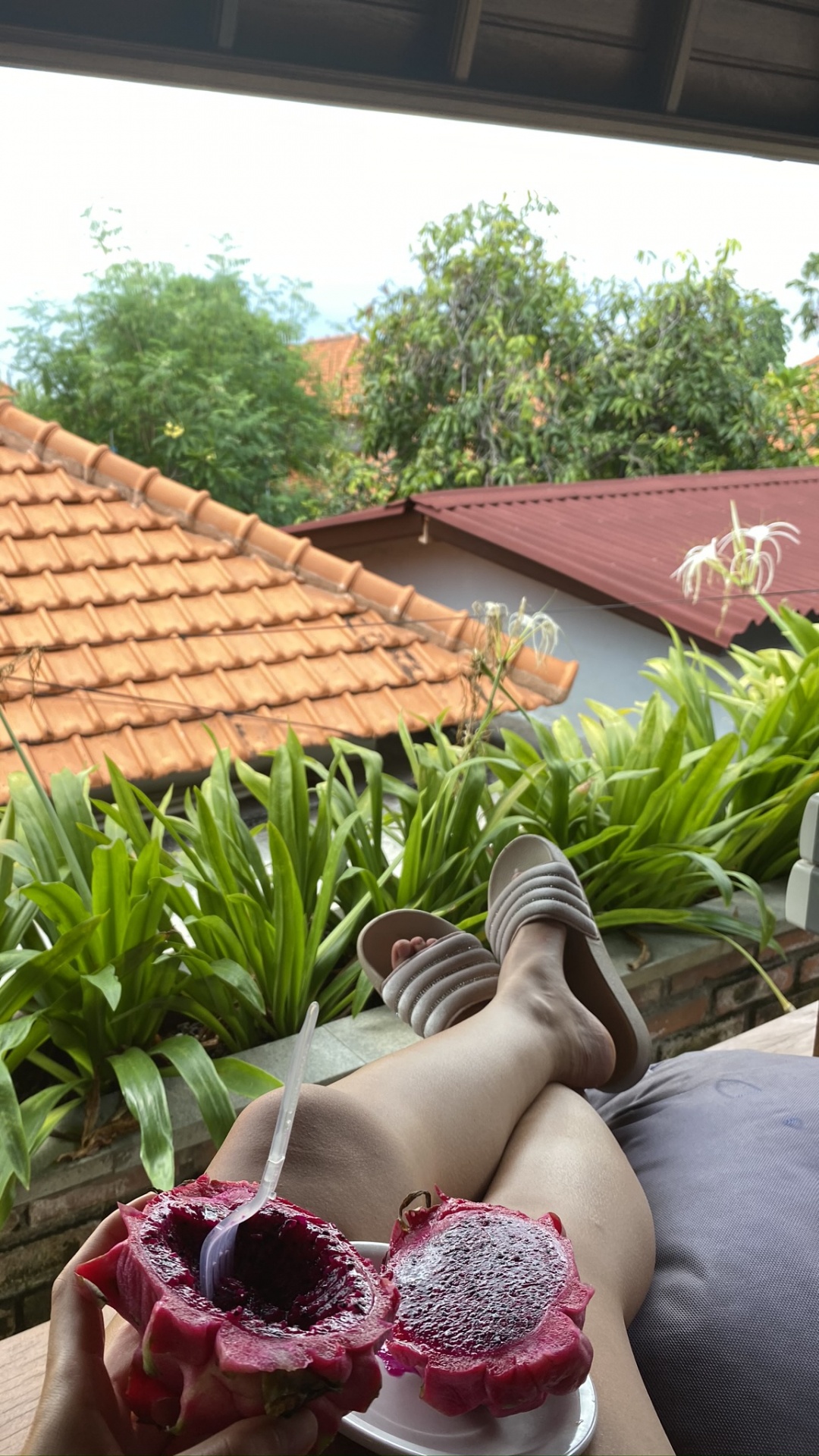 Flora, Roof, Slipper, Foot, Daylighting. Wallpaper in 1080x1920 Resolution